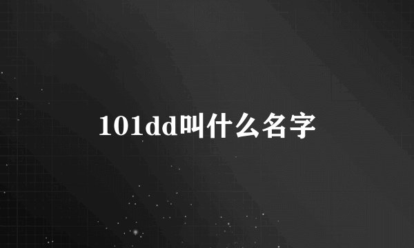 101dd叫什么名字