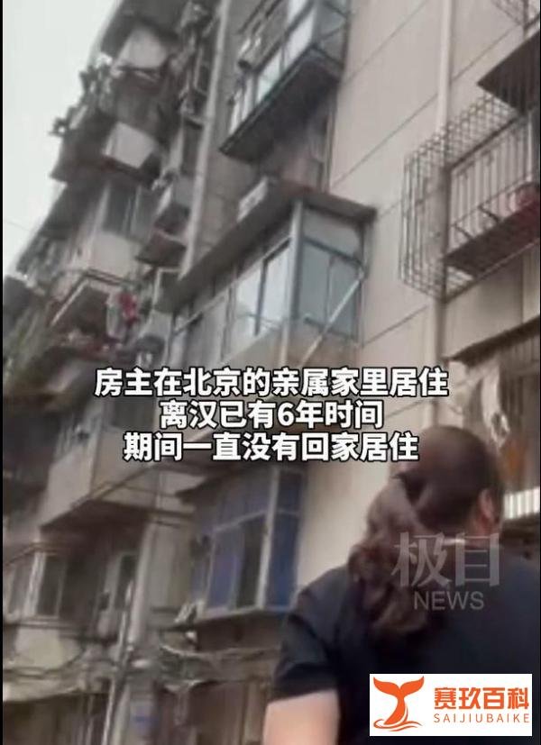 武汉爆料,得知离家6年阳台长出2棵大树主人连夜回家清理