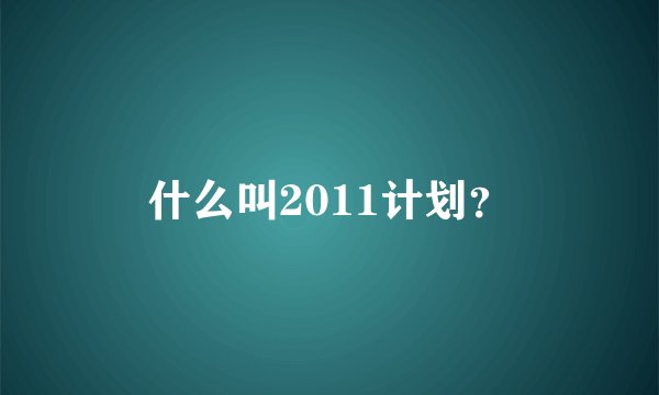 什么叫2011计划？