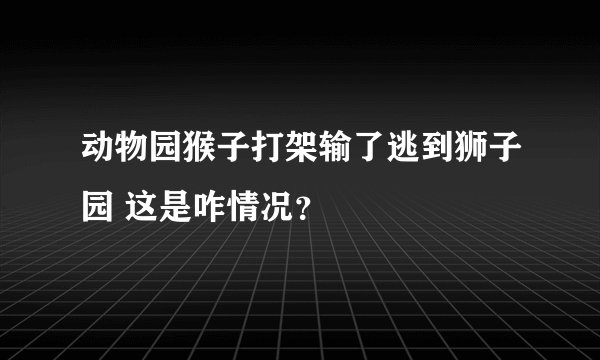 动物园猴子打架输了逃到狮子园 这是咋情况？