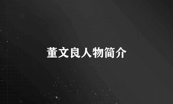 董文良人物简介