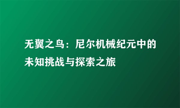无翼之鸟：尼尔机械纪元中的未知挑战与探索之旅