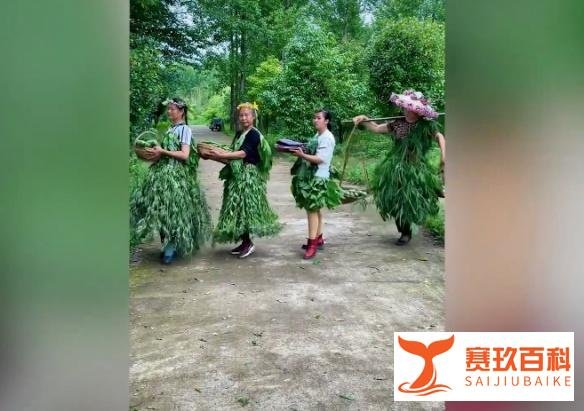 农村大妈抱自家蔬菜走秀 这是咋情况？