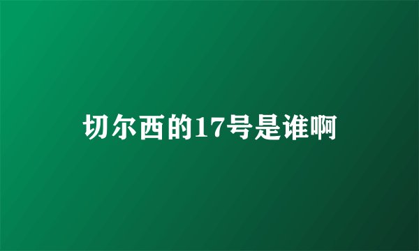 切尔西的17号是谁啊