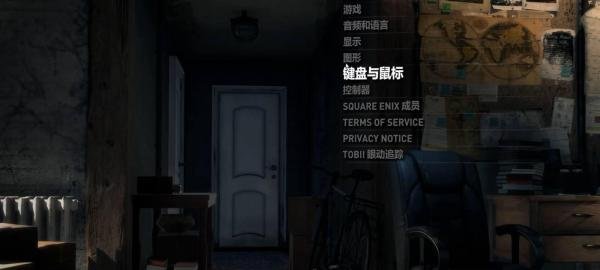 古墓丽影崛起怎么调中文