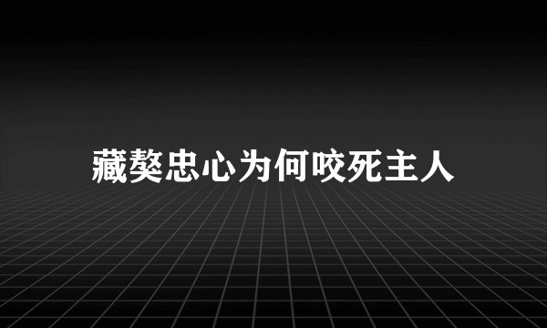 藏獒忠心为何咬死主人
