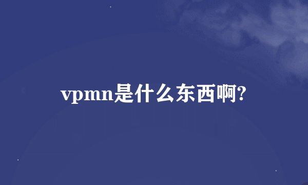 vpmn是什么东西啊?