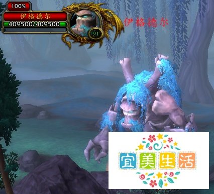 古树花蕾怎么获得