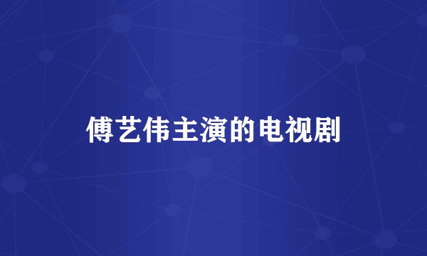 傅艺伟主演的电视剧