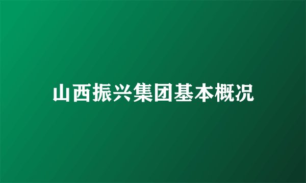 山西振兴集团基本概况