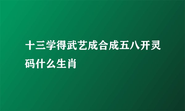 十三学得武艺成合成五八开灵码什么生肖