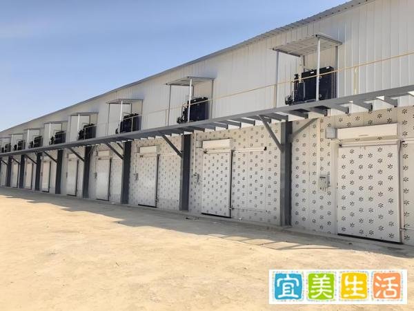 建立大型物流冷库，需要投资多少钱？?