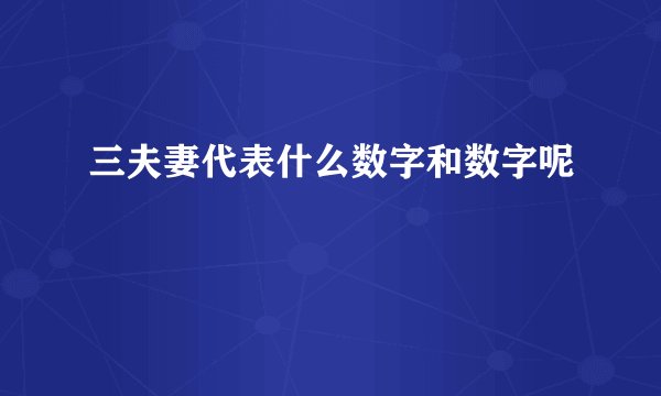 三夫妻代表什么数字和数字呢