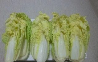 女人梦见白菜是什么预兆