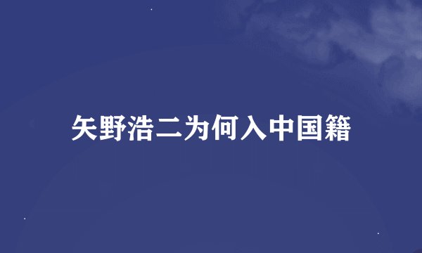 矢野浩二为何入中国籍