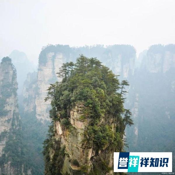6月份张家界热吗？热或不热？一文告诉你所有答案！