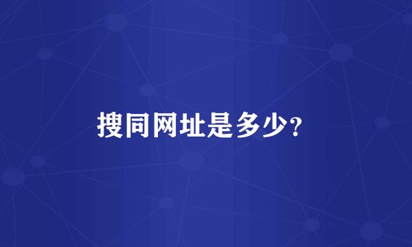 搜同网址是多少？