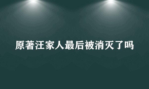 原著汪家人最后被消灭了吗