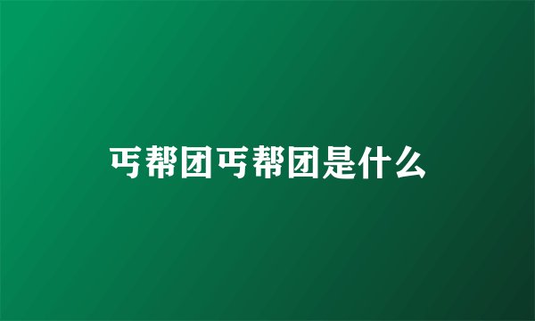 丐帮团丐帮团是什么