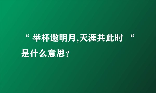 “ 举杯邀明月,天涯共此时 “ 是什么意思？