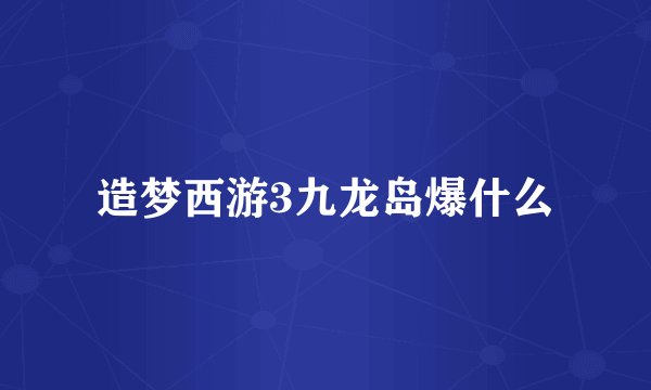 造梦西游3九龙岛爆什么