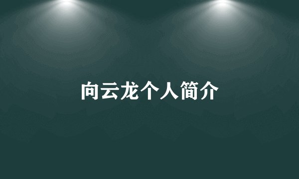 向云龙个人简介