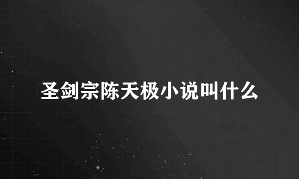 圣剑宗陈天极小说叫什么