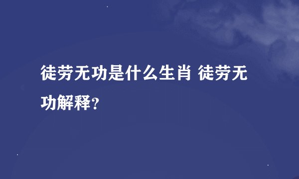 徒劳无功是什么生肖 徒劳无功解释？