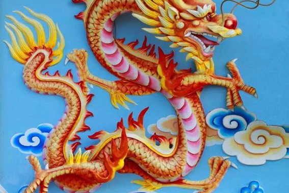 三宫六院代表什么动物？