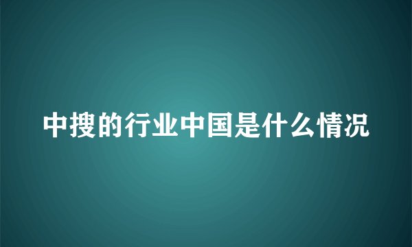 中搜的行业中国是什么情况