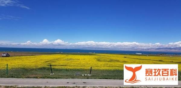 这才是6月值得一去的旅行地,网红打卡地看点颇多,适合打卡