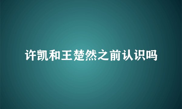许凯和王楚然之前认识吗
