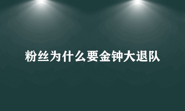 粉丝为什么要金钟大退队