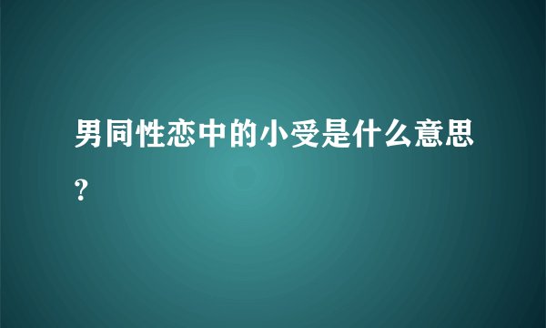 男同性恋中的小受是什么意思？