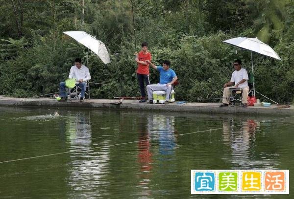 3人花394万买8000条鱼开赌场获刑,5小时票价两千六