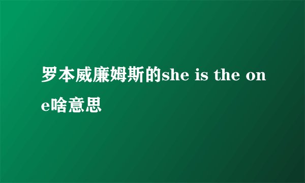 罗本威廉姆斯的she is the one啥意思
