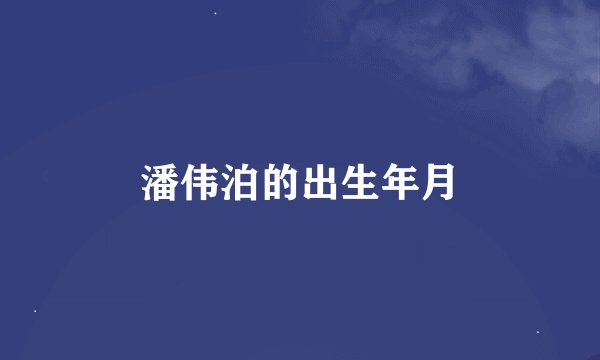 潘伟泊的出生年月