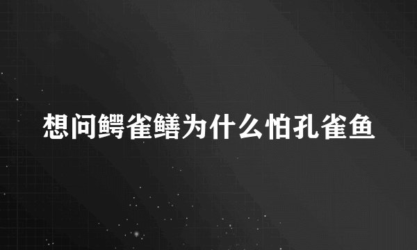 想问鳄雀鳝为什么怕孔雀鱼