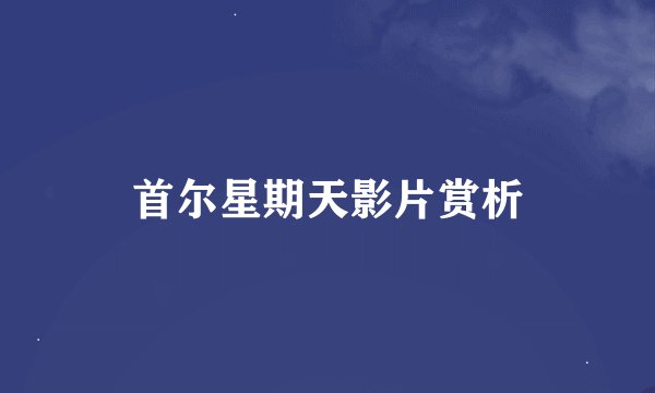 首尔星期天影片赏析