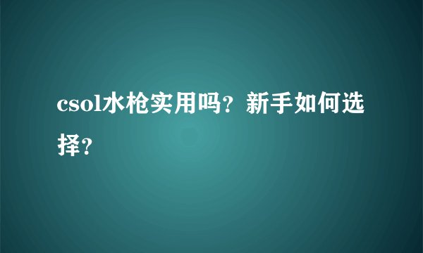 csol水枪实用吗？新手如何选择？