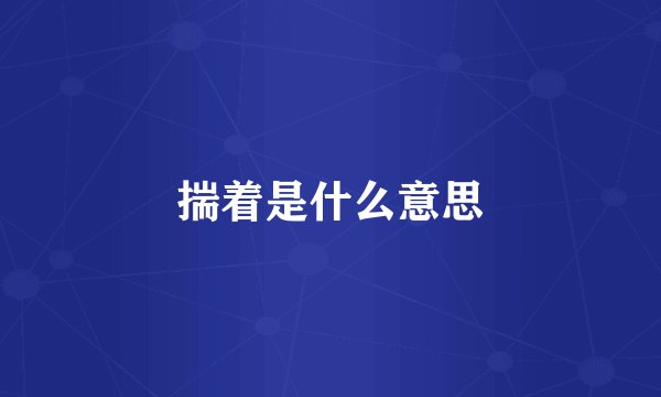 揣着是什么意思