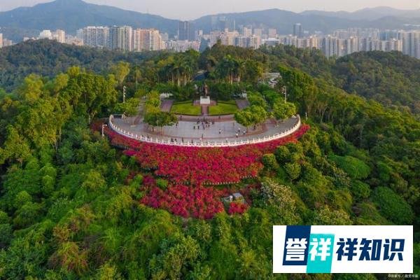 深圳旅游指南:十大必去景点,玩得开心又过瘾!