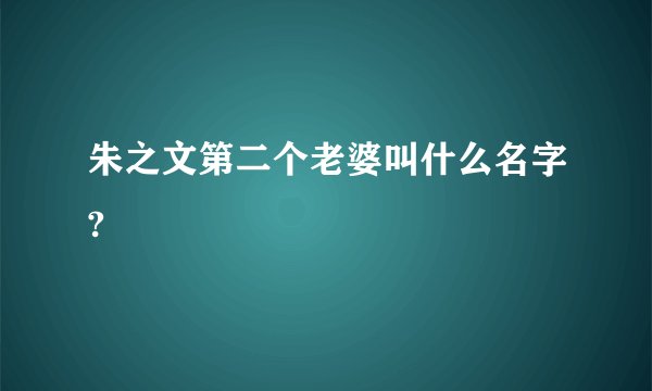 朱之文第二个老婆叫什么名字?