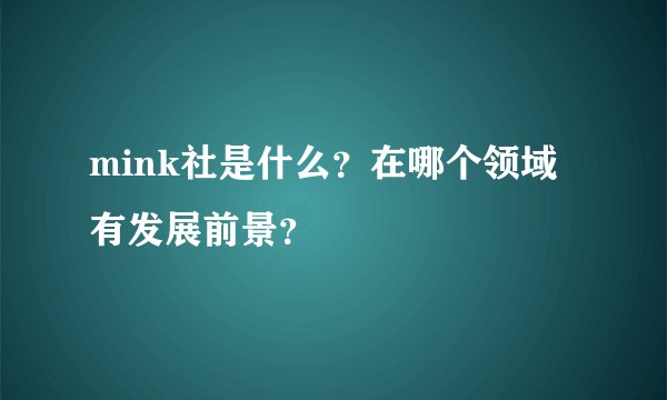 mink社是什么？在哪个领域有发展前景？