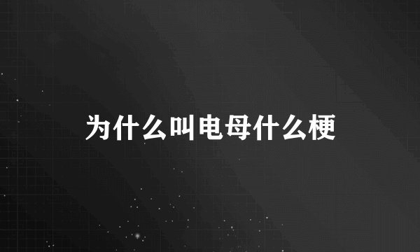 为什么叫电母什么梗