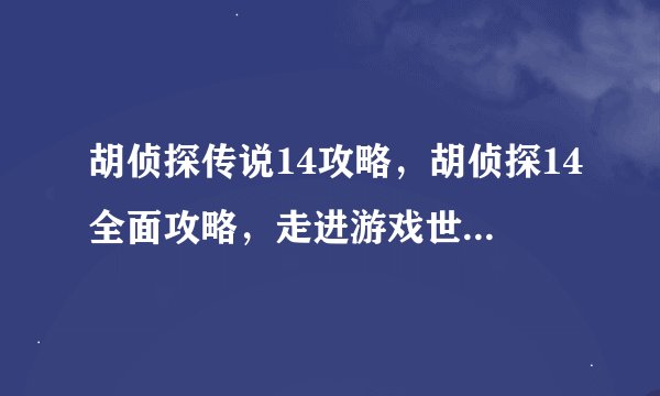 胡侦探传说14攻略，胡侦探14全面攻略，走进游戏世界探寻真相！
