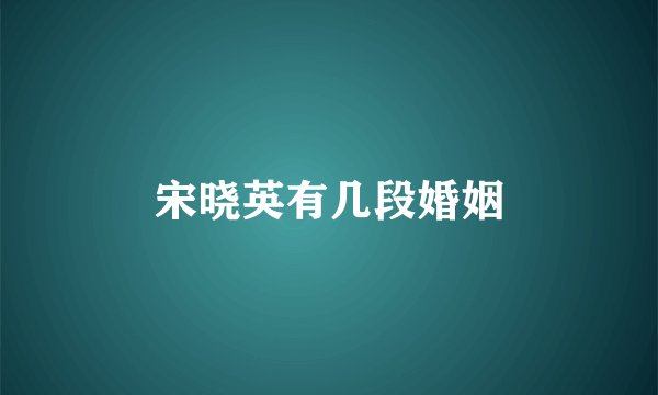 宋晓英有几段婚姻