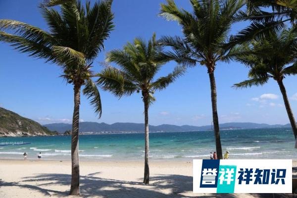 高知“换妻游戏”案：3男3女多人运动，被捕大吼：自愿的何罪之有