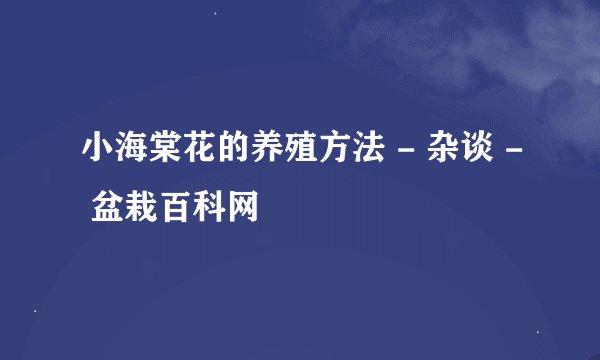 小海棠花的养殖方法 - 杂谈 - 盆栽百科网