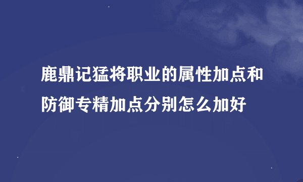 鹿鼎记猛将职业的属性加点和防御专精加点分别怎么加好